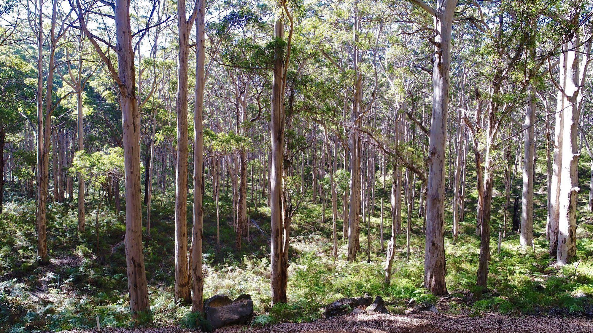 Margaret River Beach Apartments Gnarabup Esterno foto